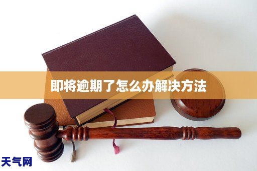 即将过期领龙八现金娱乐悟决